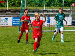 Hillen Cup 2024